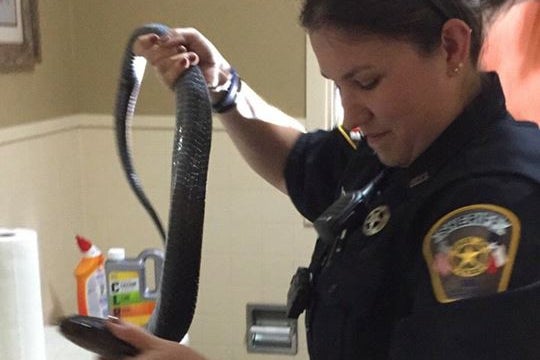 Deputy Lindsay Scotten